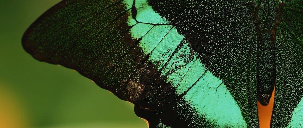 aaron-burden-9nHVkac5xxY-unsplash