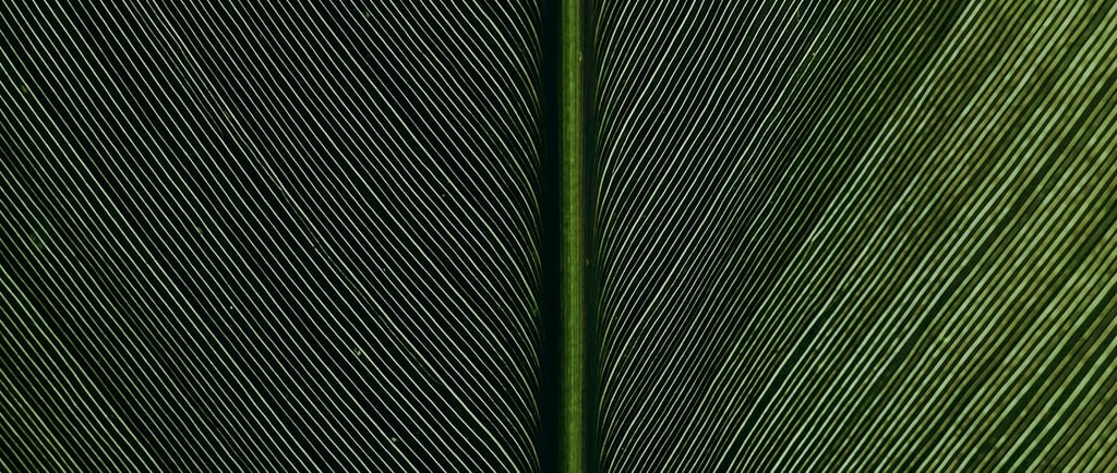 omid-armin-ApYDy4ur8JQ-unsplash