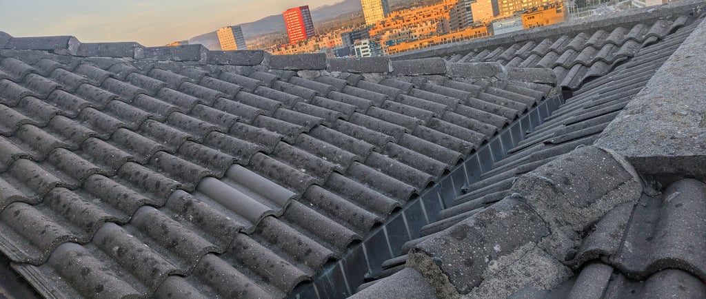 Cubierta analizada en Vitoria-Gasteiz