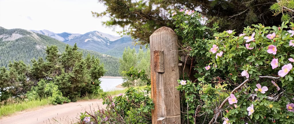 Photo by author, Glacier National Park