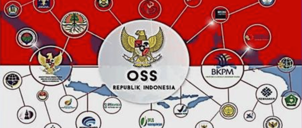 a map of the country of indonesia
