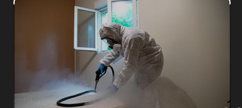 Traitement thermique contre les punaises de lit