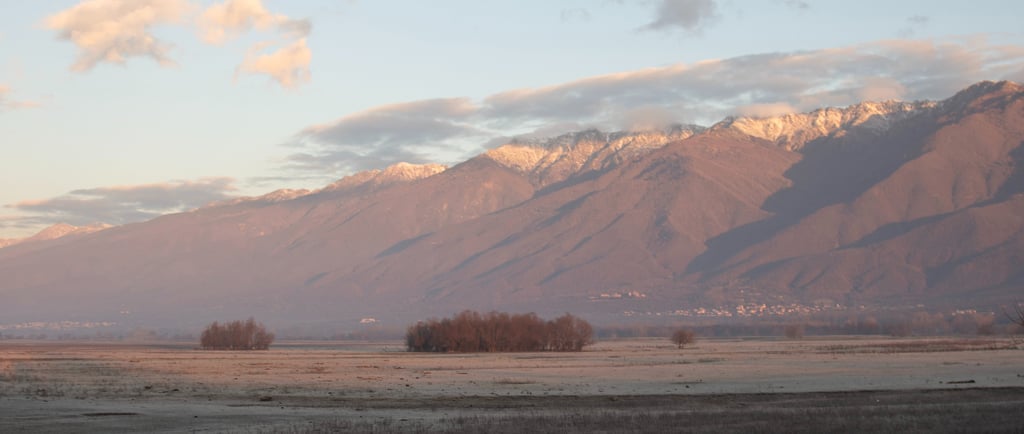 frozen grasses at lake kerkini and the snow at Belles mountain