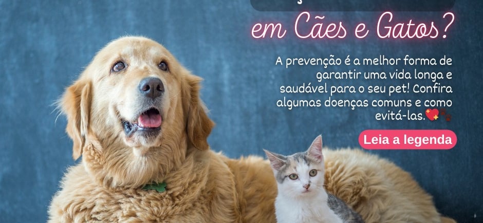 cachorro grandão e um gatinho filhote
