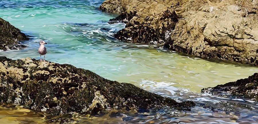 BIRD ROCK, vector hyperrealism by Califormetry