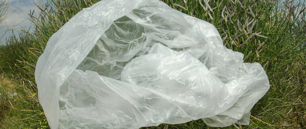 Plastic Vs Jute bag decomposition