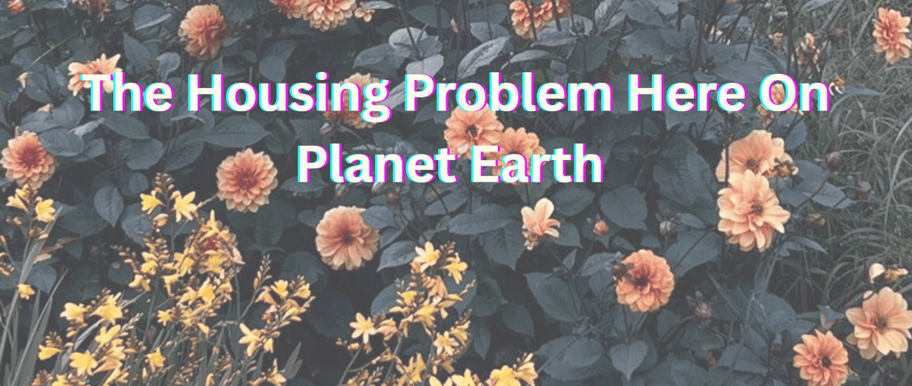 Oragne and yellow flowers as the background. Text reads "the housing problem here on planet earth"