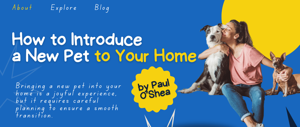 How to introduce a new pet to your home, Fido's Pet Sitters Lynnwood pet sitters