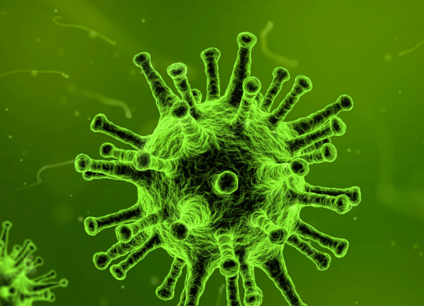 green viruses 