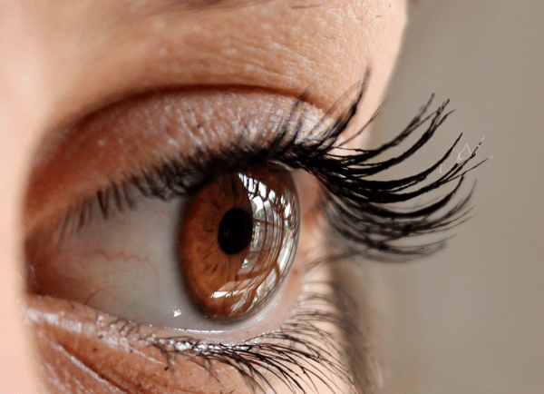a brown color eye of a girl