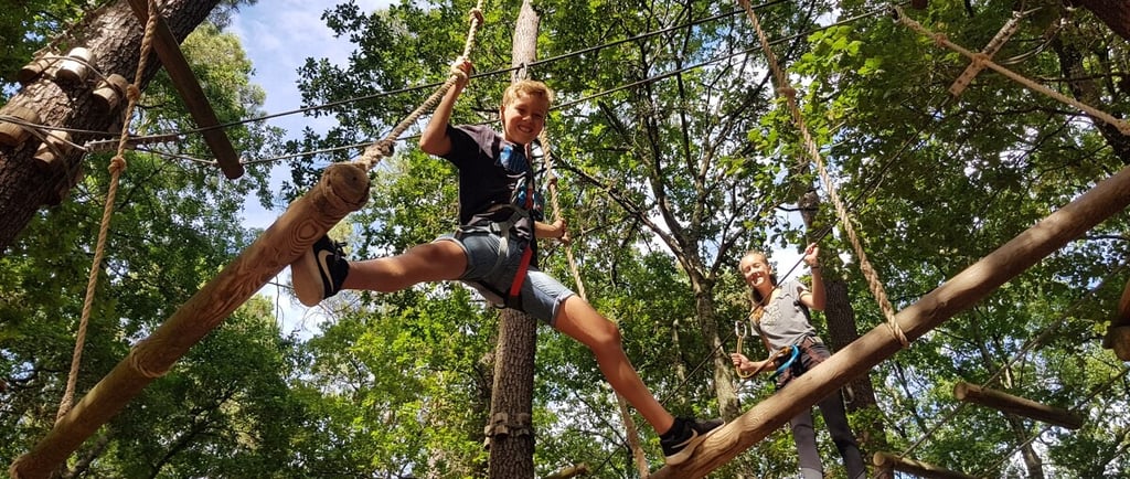 Two children wearing safety harnesses navigate a high ropes obstacle course in a forest park.
