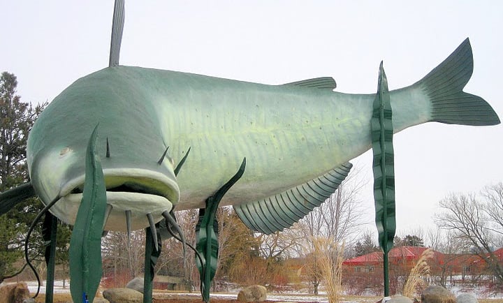 Niagara Falls Campground & Lodging Photos