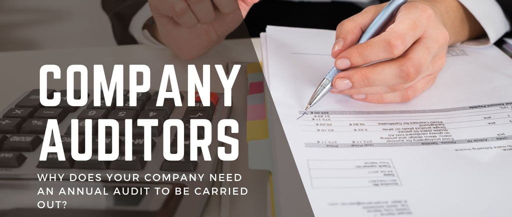 Appointing company auditors, annual compliance 