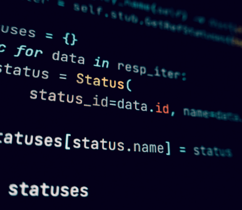 software development