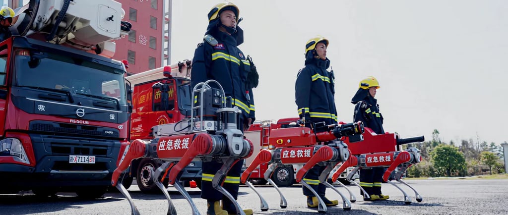 Unitree Robotics China