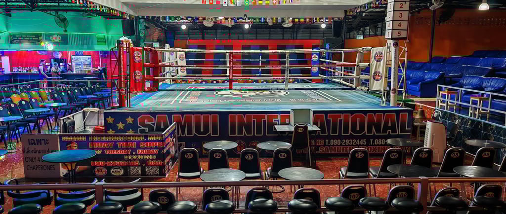 Ringside seat in front of stadium seat