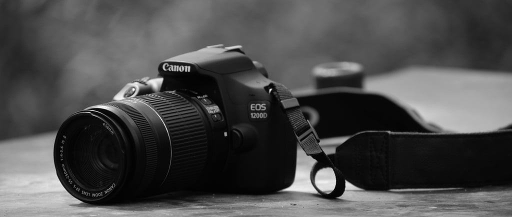 avenceo choisir un pro pour sa photo