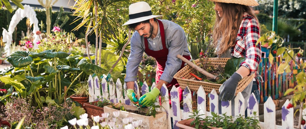 Young couple putting plants in the garden.