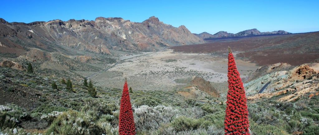 vista do parque nacional de teide tenerife