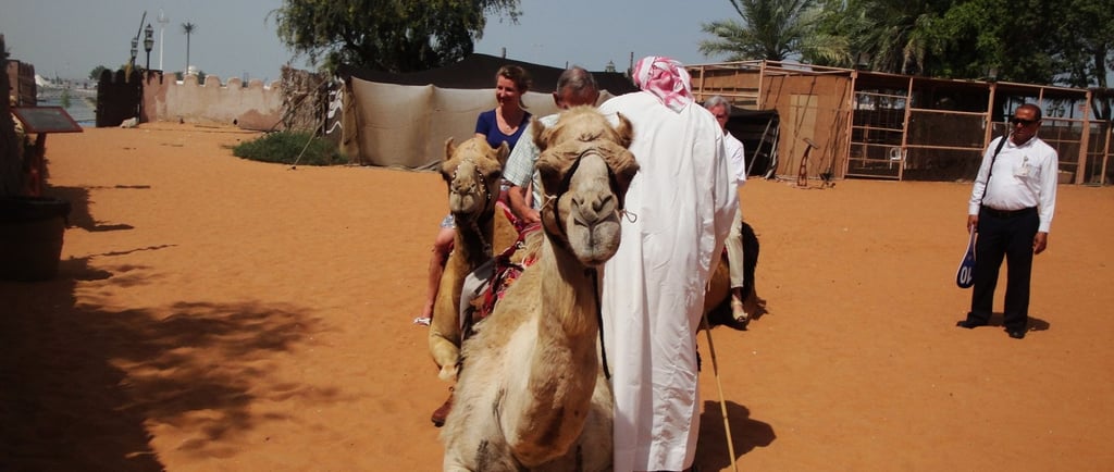 foto do camelo no heritage village em abu dhabi