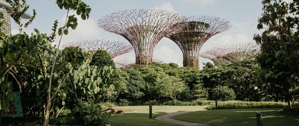 vista da garden trees em singapura