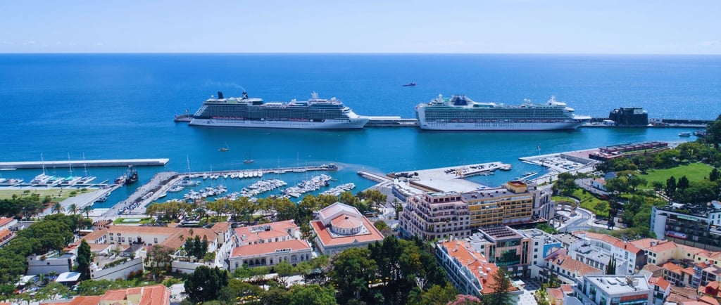 vista dos navios de cruzeiro ancorados em Funchal