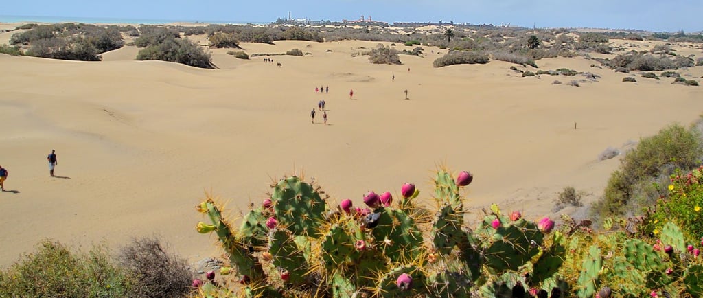 vista das dunas Maspalomas em Gran Canaria