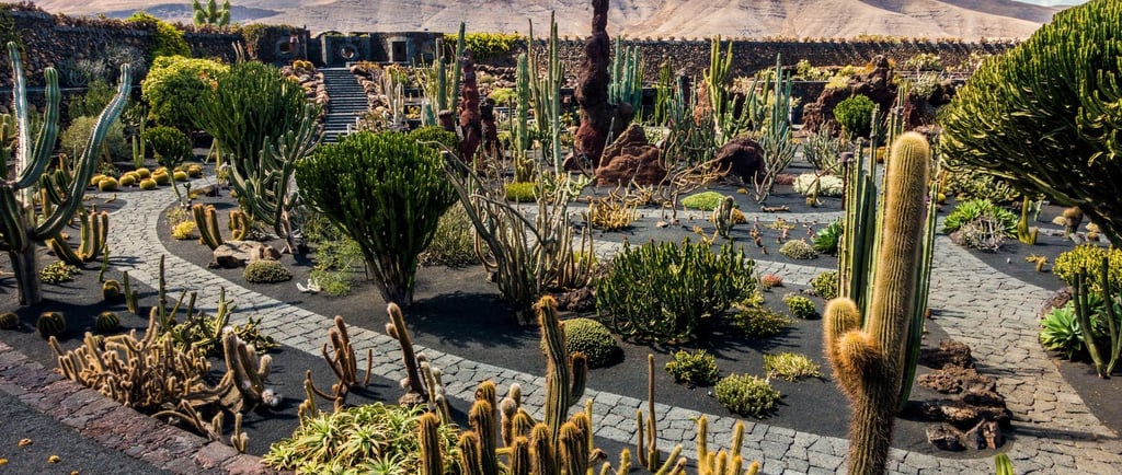foto do jardim de cactus em Lanzarote