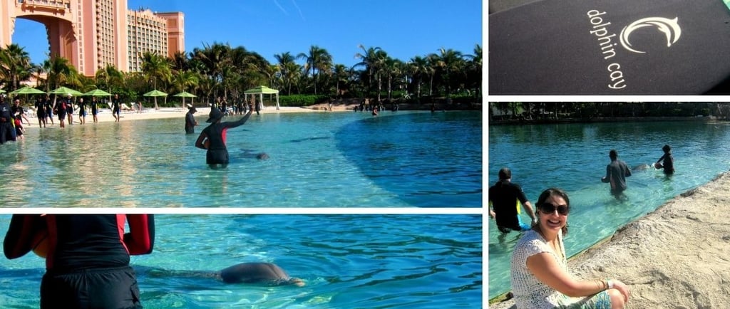 Autora em passeio pelo Dolphin Cay no Atlantis em Nassau, com golfinho ao fundo