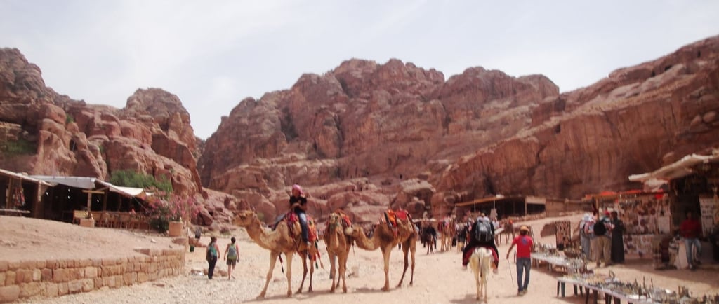 Vista da cidade baixa de Petra, com as ruínas ao fundo e camelos descansando nas proximidades.