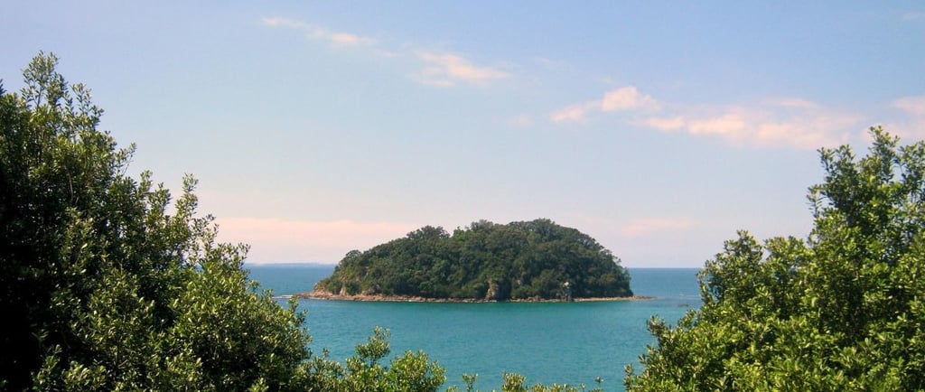 Vista da trilha para a ilha, com o mar ao fundo e vegetação ao redor.