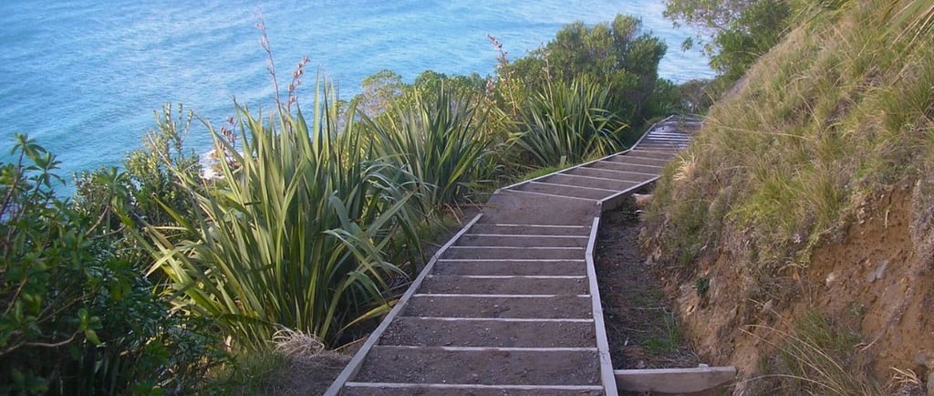 Foto da trilha do Monte Maunganui, com vegetação ao redor e vista parcial do mar ao fundo.