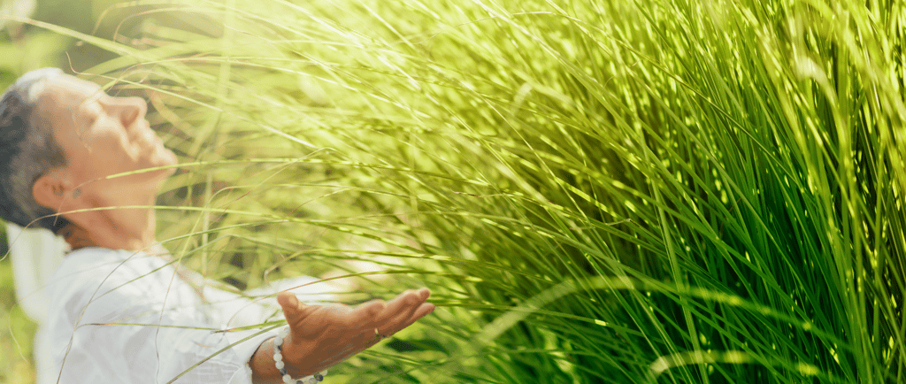 the king of kings watchmen women in a field