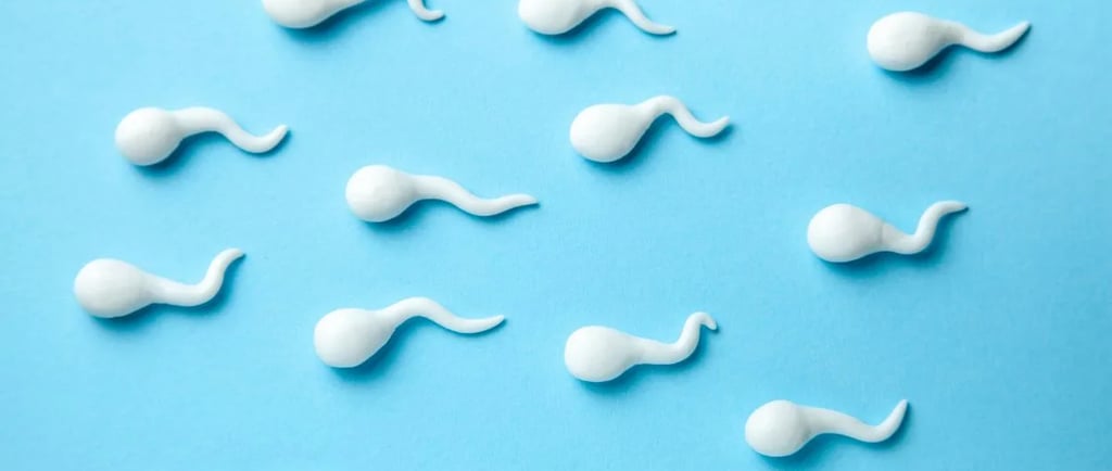 स्पर्म बनने में कितना समय लगता है