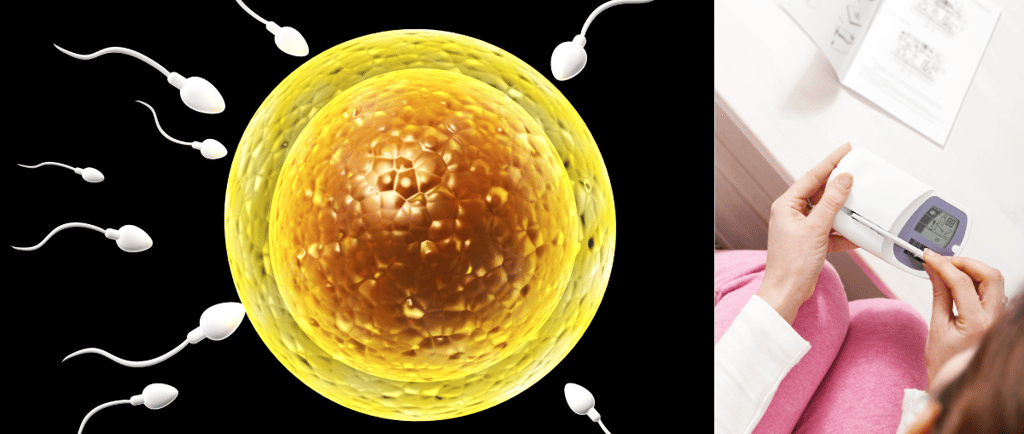 लड़के के गर्भधारण में समय और आवृत्ति की भूमिका