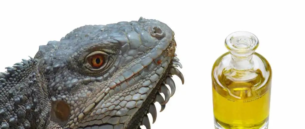 सांडे का तेल क्या होता है