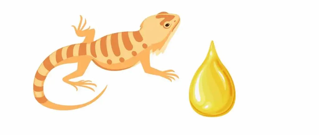 सांडे का तेल कैसे बनता है