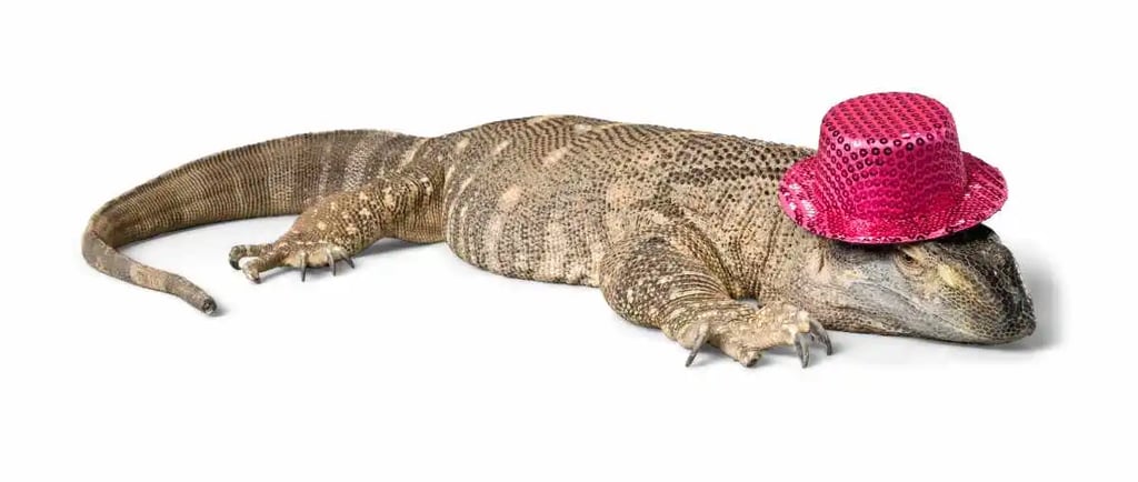 सांडे का तेल