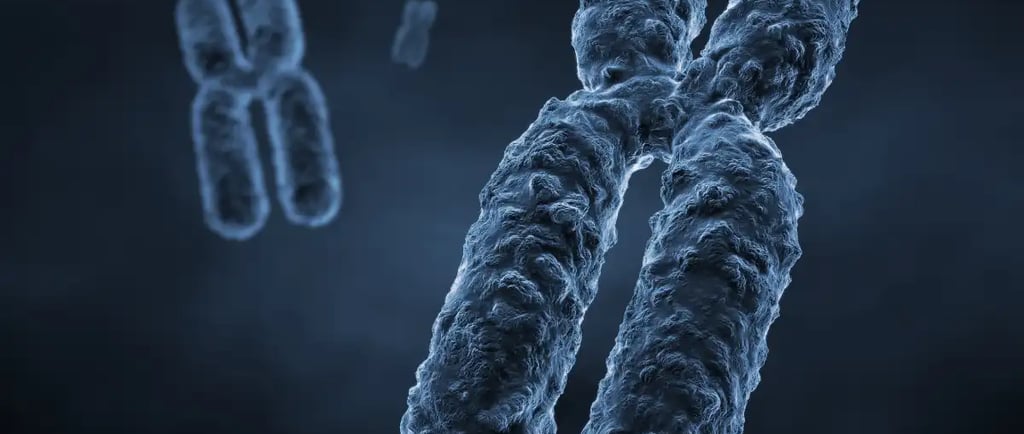 निष्कर्ष: एक लड़के के गर्भधारण की संभावना को अधिकतम करना