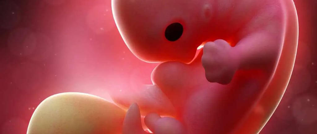 ओवुलेशन के कितने दिन बाद इम्प्लांटेशन होता है