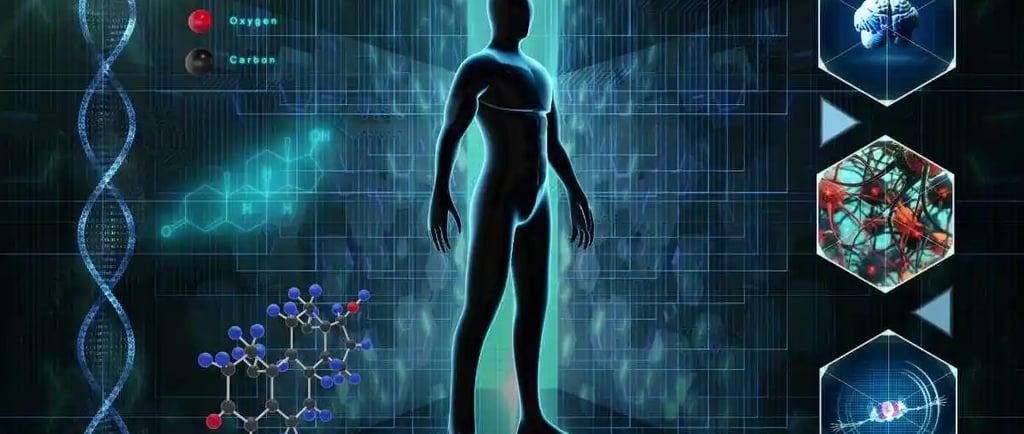 टेस्टोस्टेरोन लेवल कितना होना चाहिए