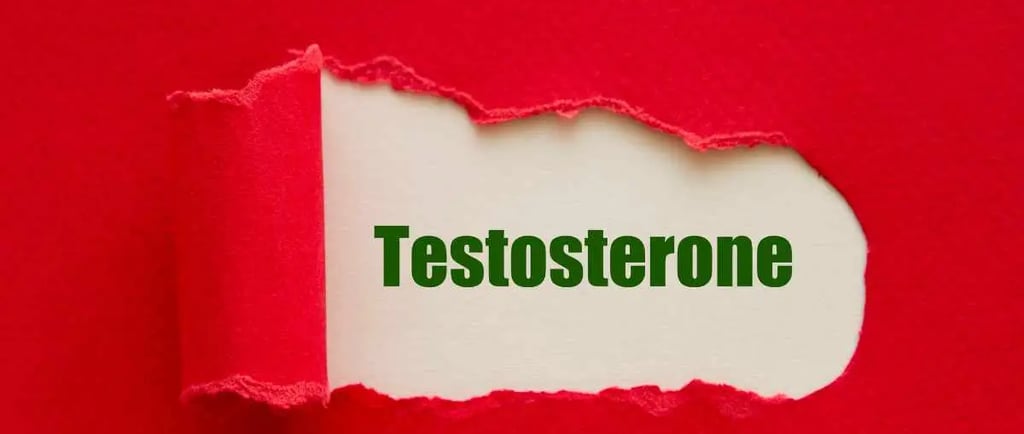 टेस्टोस्टेरोन क्या है?