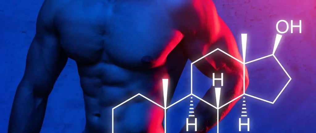 टेस्टोस्टेरोन के लाभ और महत्व