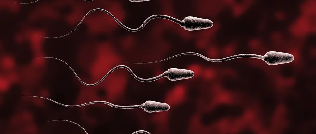 शुक्राणु क्या है (What is Sperm in Hindi)