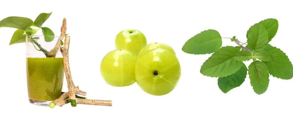 धातु रोग की जड़ी बूटी