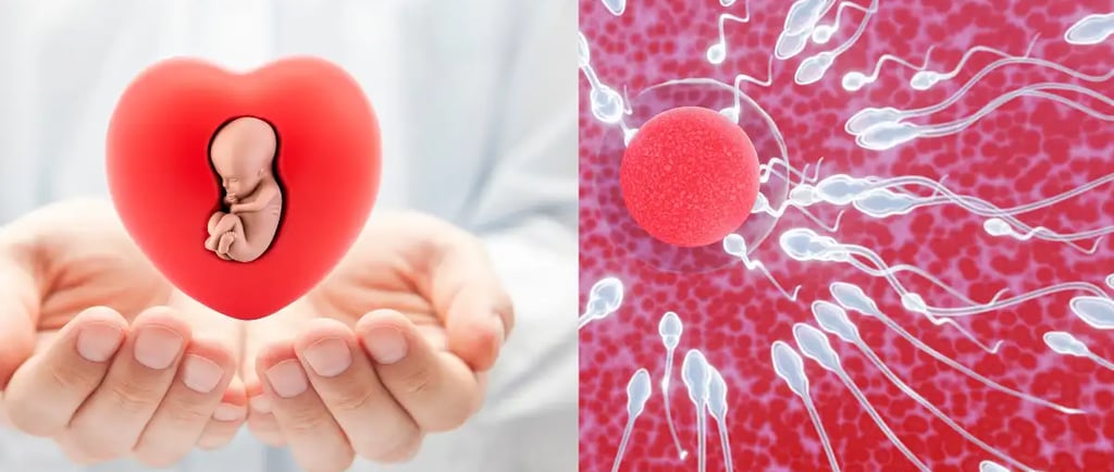 ladka पैदा करने के लिए स्पर्म काउंट कितना होना चाहिए