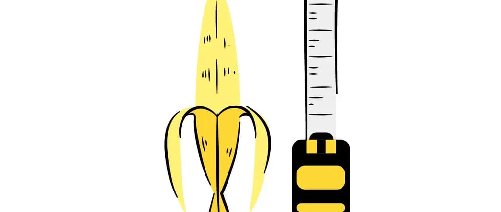 penis size