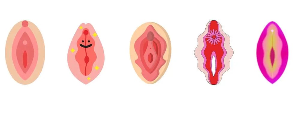 योनि के प्रकार