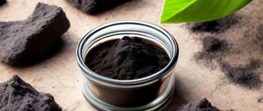 शिलाजीत के फायदे हिंदी