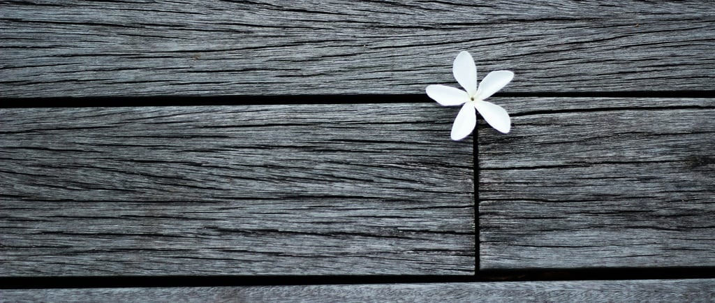 Mastering Photography Composition: How to Use the Rule of Thirds for Stunning Images